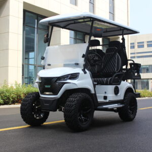 Golf New Starry Blue 2+2 Seater Electric Car - A Stylish and Technologically Advanced Smart Electric Travel Experience