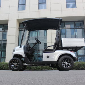 Golf White Two-Seater Electric Car