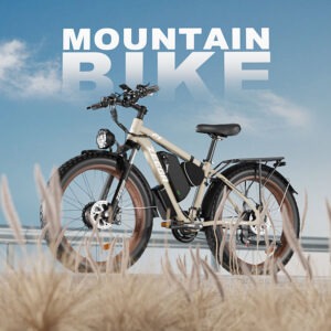 Electric bikes 1000w