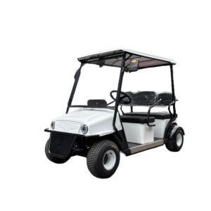 sightseeing minibus 2-seater: $2680 4-seater: $2780